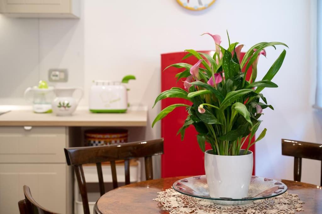 Casa Bouganville - St. Peter Romantic Apartment Екстериор снимка